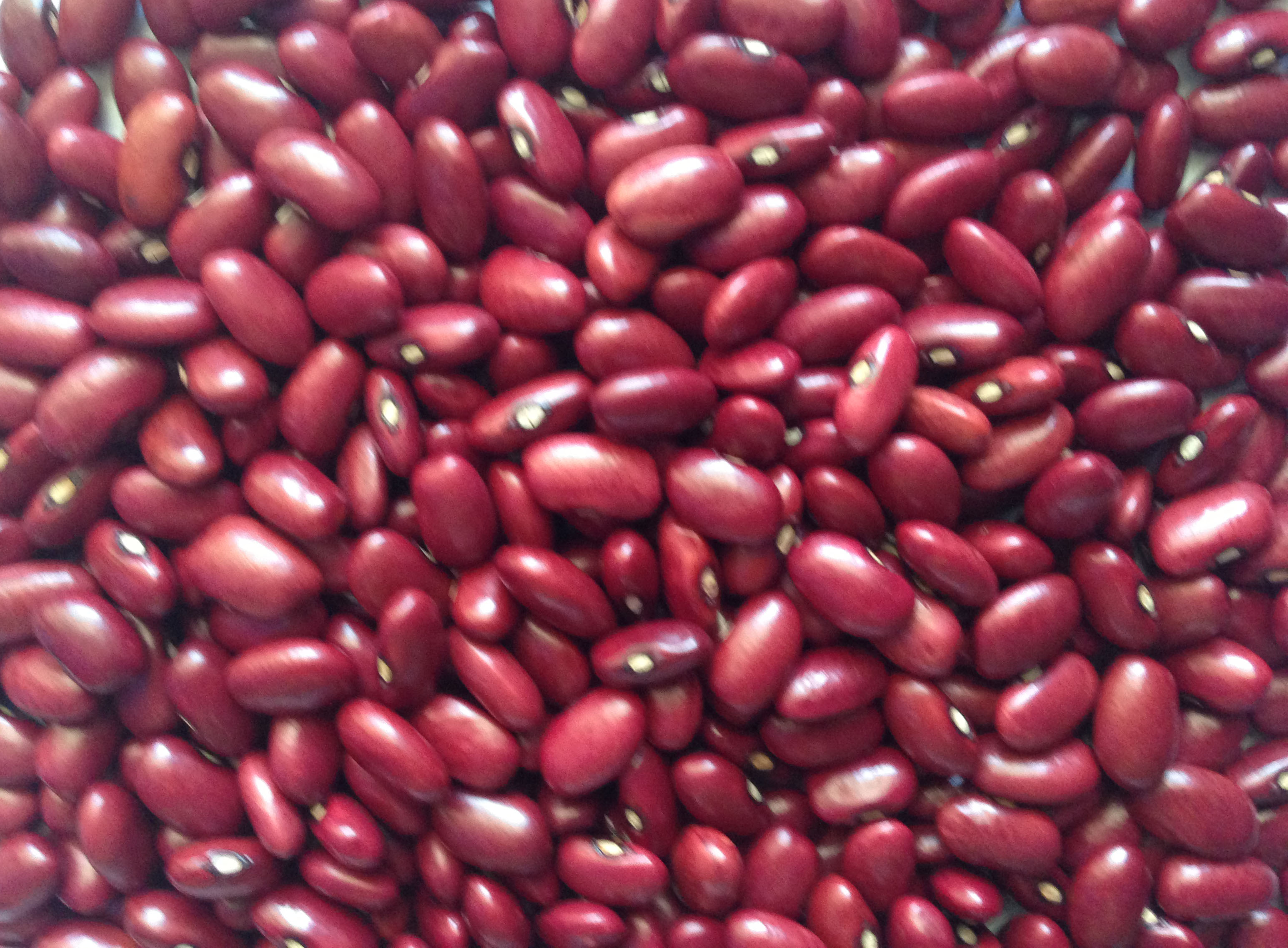 red_beans